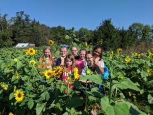 girls inc sunflower patch